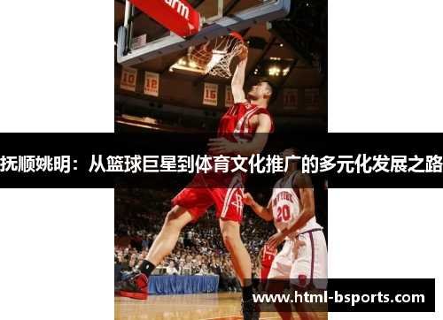 抚顺姚明：从篮球巨星到体育文化推广的多元化发展之路
